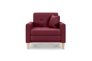 Кресло Этро люкс с опорой №5 Энерджи Лайт 810/17 Вид спереди