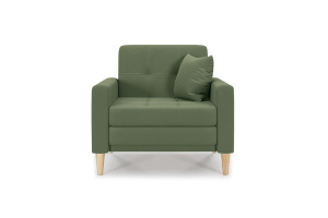 Кресло Этро люкс с опорой №5 Энерджи Лайт 810/13 Вид спереди