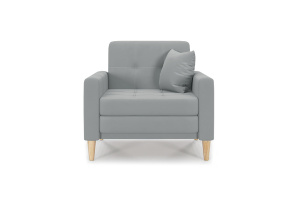 Кресло Этро люкс с опорой №5 Zara Steel 52 Вид спереди